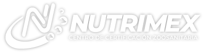 Logo alternativo 2